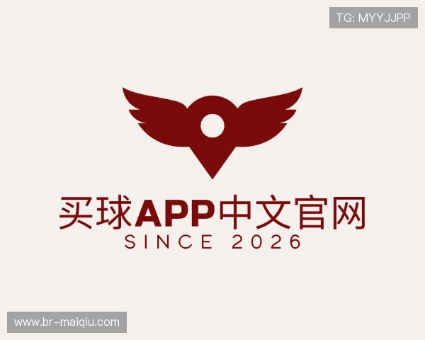 了解买球APP中文官网